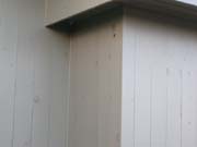 148_Wasp